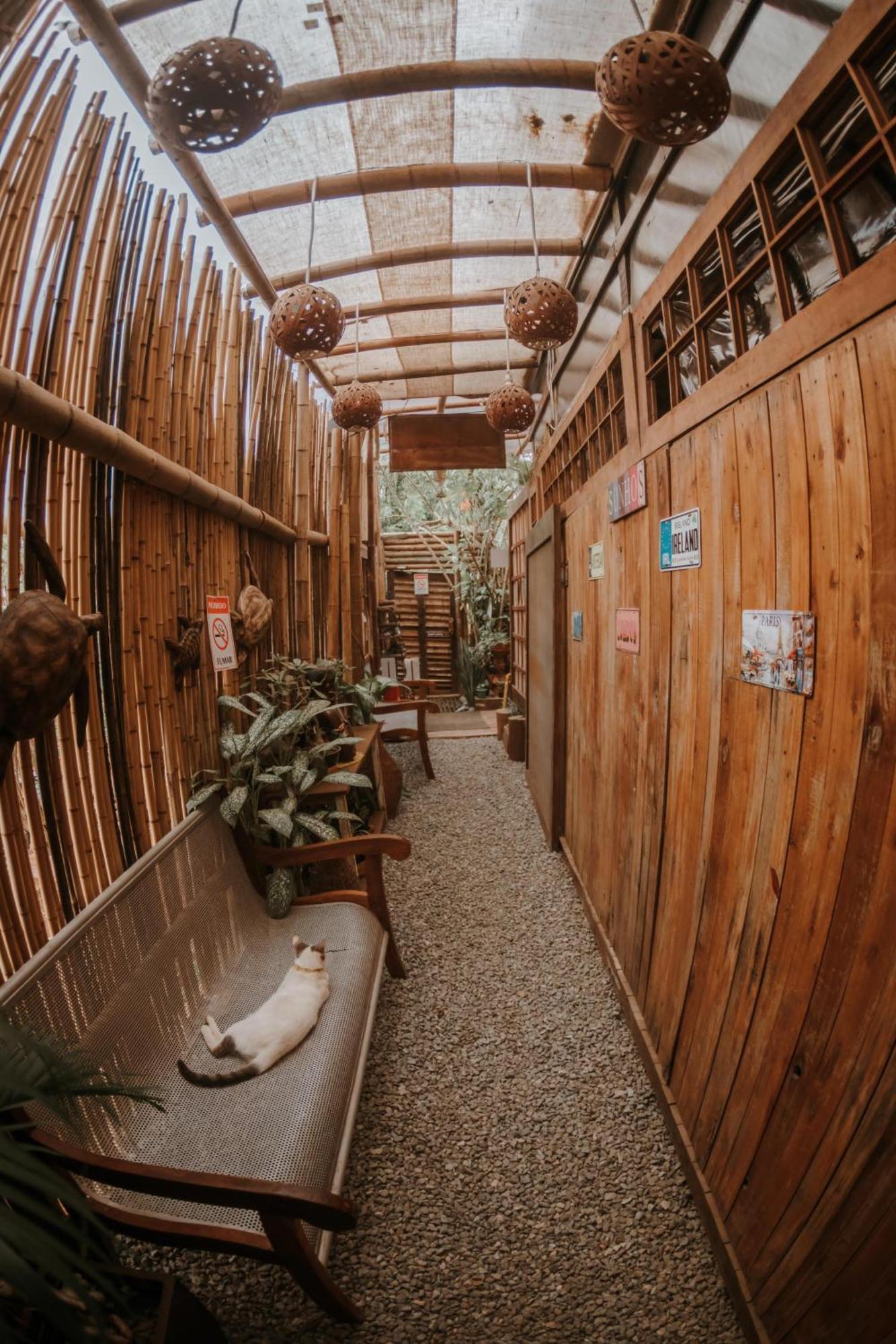 Doce Lar Hostel Noronha Fernando de Noronha Kültér fotó